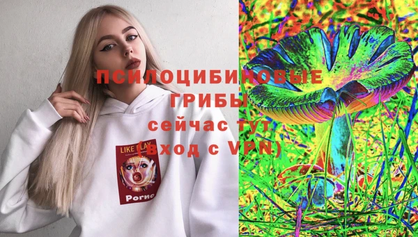 ПСИЛОЦИБИНОВЫЕ ГРИБЫ Аркадак