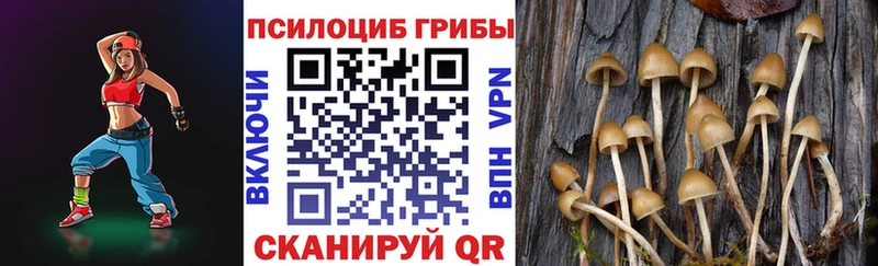 Псилоцибиновые грибы Magic Shrooms  Кунгур 